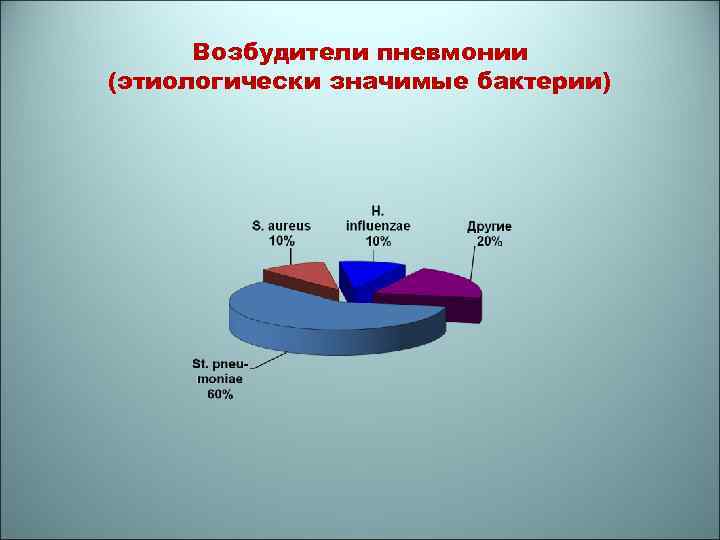 Возбудители пневмонии (этиологически значимые бактерии) 