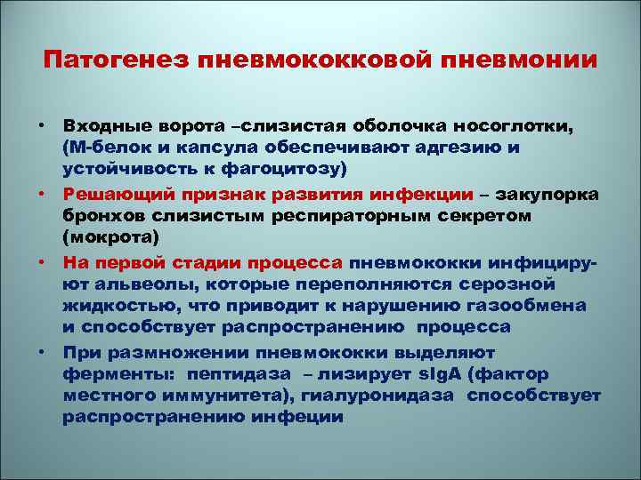 Этиология пневмонии. Патогенез пневмококковой пневмонии. Механизм развития пневмонии. Пневмококковая пневмония этиология.