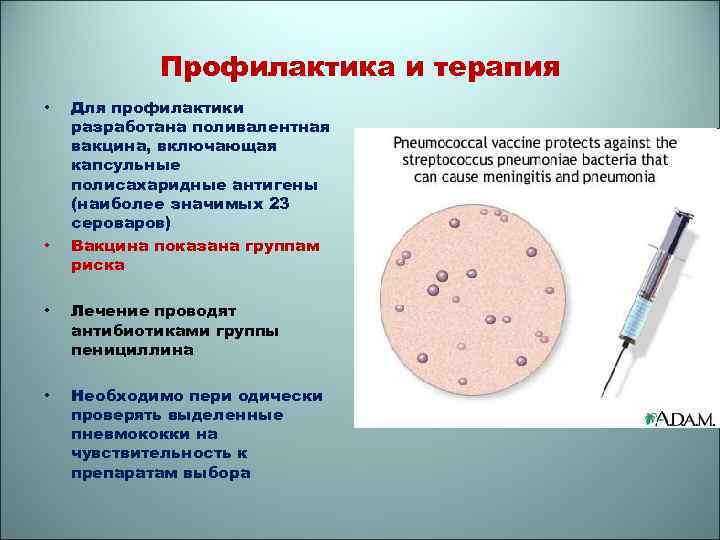 Вакцины терапия. Профилактические вакцины микробиология. Вакцина профилактика и вакцина терапия. Вакцины : профилактические, лечебные микробиология. Прививки для микробиологов.