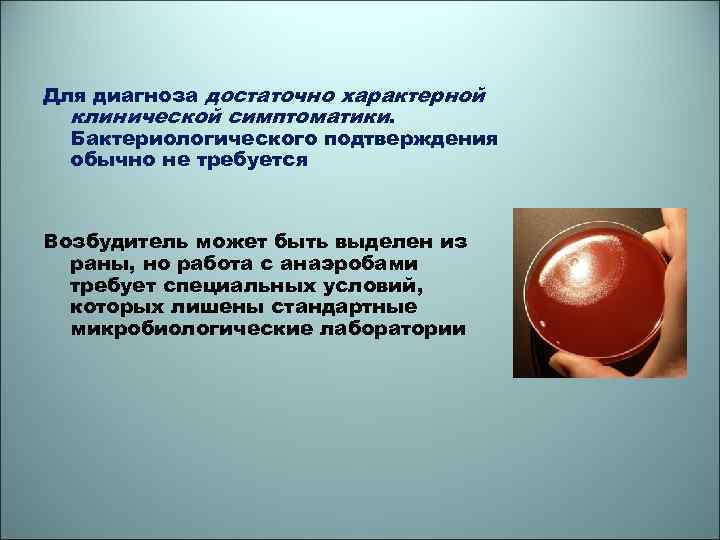 Для диагноза достаточно характерной клинической симптоматики. Бактериологического подтверждения обычно не требуется Возбудитель может быть