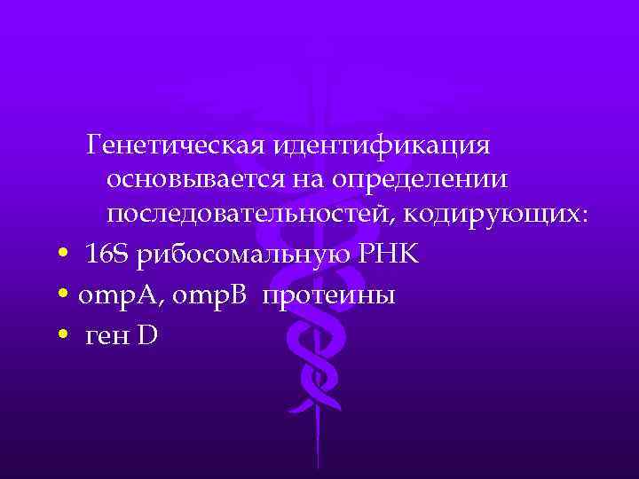 Генетическая идентификация основывается на определении последовательностей, кодирующих: • 16 S рибосомальную РНК • omp.