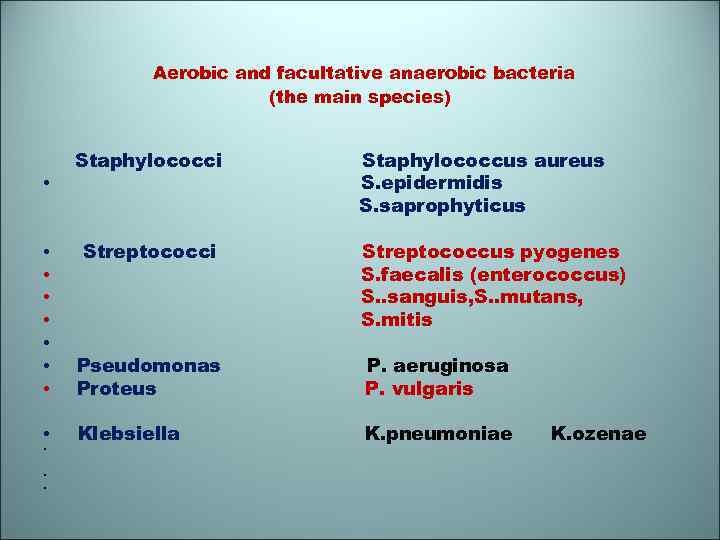 Aerobic and facultative anaerobic bacteria (the main species) Staphylococci • Streptococci • • •