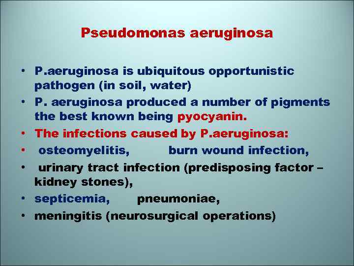 Pseudomonas aeruginosa • P. aeruginosa is ubiquitous opportunistic pathogen (in soil, water) • P.
