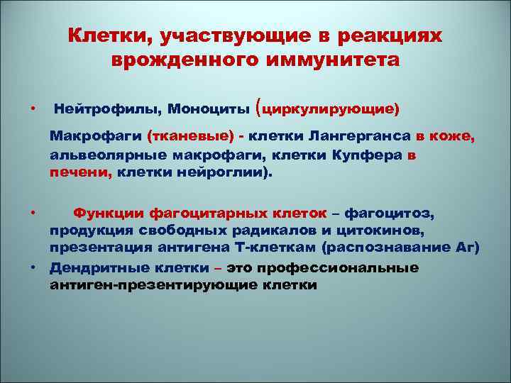 Клетки, участвующие в реакциях врожденного иммунитета • ( Нейтрофилы, Моноциты циркулирующие) Макрофаги (тканевые) -