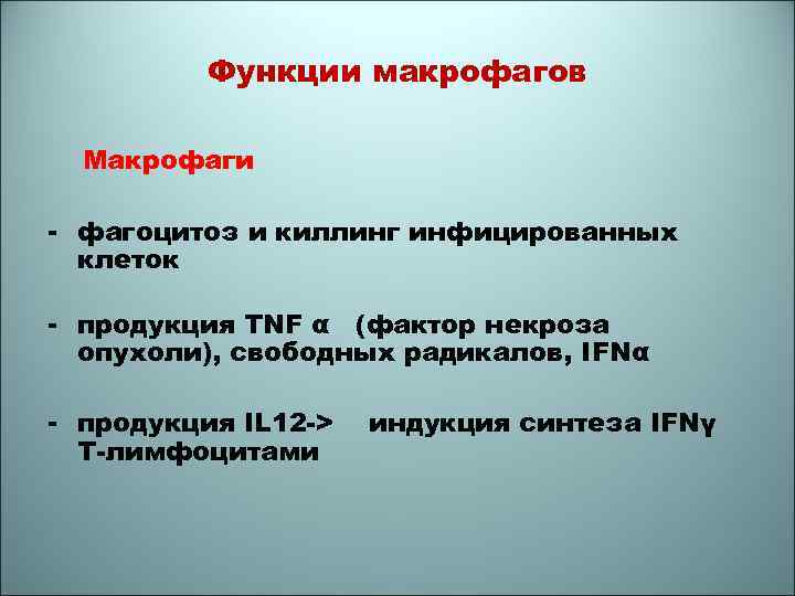 Функции макрофагов Макрофаги - фагоцитоз и киллинг инфицированных клеток - продукция TNF α (фактор