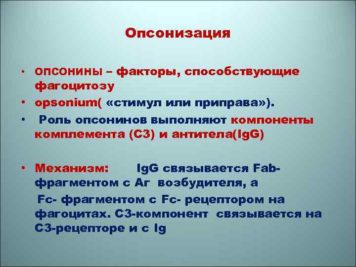 Опсонизация • ОПСОНИНЫ – факторы, способствующие фагоцитозу • opsonium( «стимул или приправа» ). •