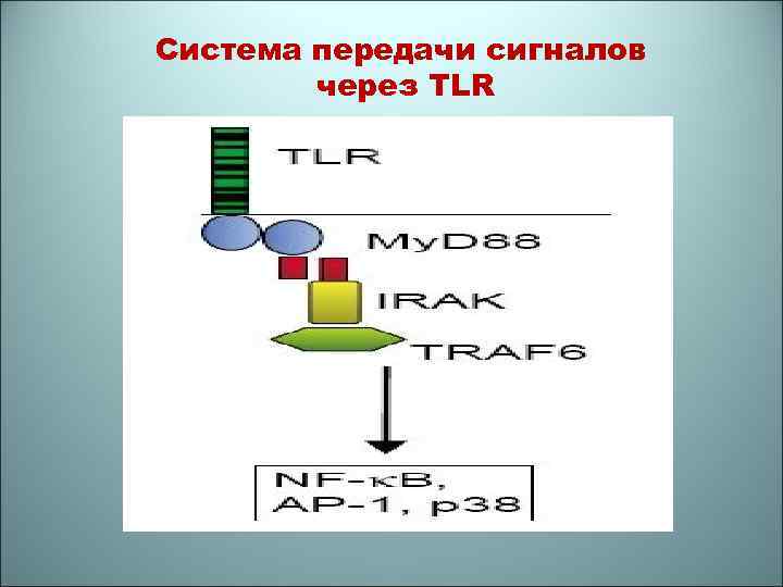 Система передачи сигналов через TLR 