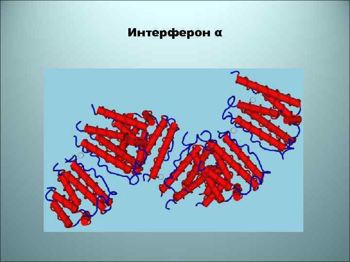 Интерферон α 