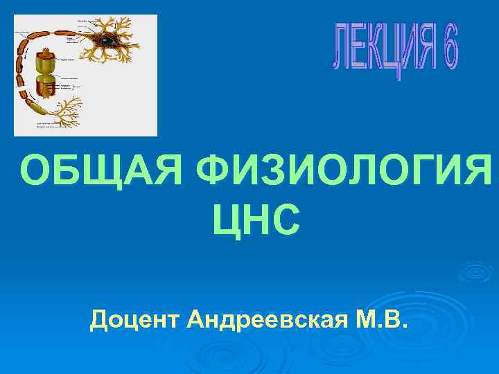 ОБЩАЯ ФИЗИОЛОГИЯ ЦНС Доцент Андреевская М. В. 