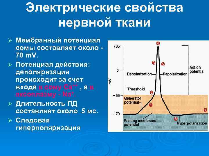 Электрические процессы