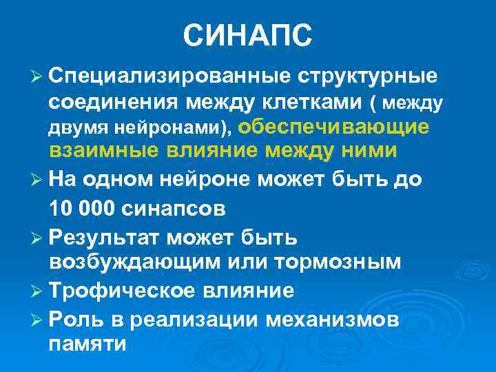 СИНАПС Ø Специализированные структурные соединения между клетками ( между двумя нейронами), обеспечивающие взаимные влияние