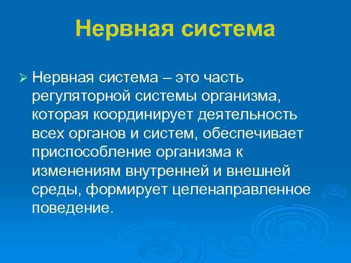 Нервная система Ø Нервная система – это часть регуляторной системы организма, которая координирует деятельность