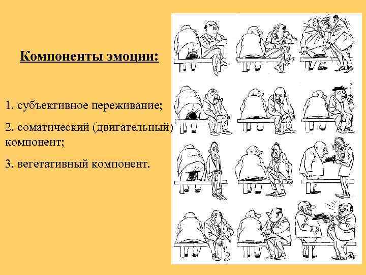 Компоненты эмоции: 1. субъективное переживание; 2. соматический (двигательный) компонент; 3. вегетативный компонент. 