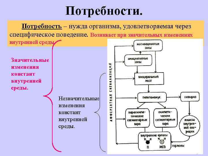 Определение потребности логистической системы и ее отдельных элементов отчет по практике