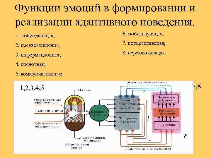 Функции эмоций в формировании и реализации адаптивного поведения. 1. побуждающая; 6. мобилизующая; 2. предвосхищение;