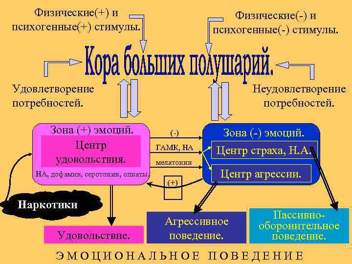 Физические(+) и психогенные(+) стимулы. Физические(-) и психогенные(-) стимулы. Удовлетворение потребностей. Зона (+) эмоций. Центр