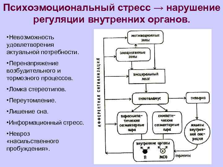 Схема механизмов регуляции информационного стресса