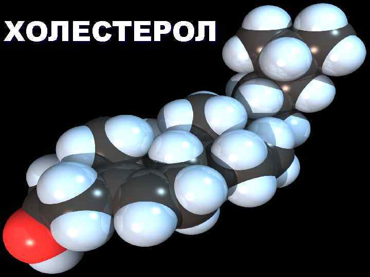 ХОЛЕСТЕРОЛ 