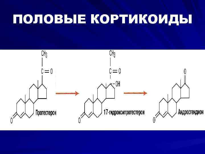 ПОЛОВЫЕ КОРТИКОИДЫ 