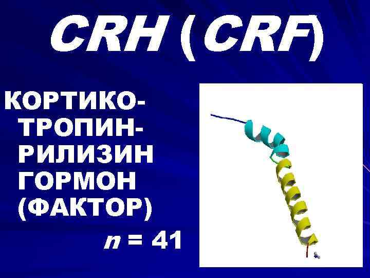 CRH (CRF) КОРТИКОТРОПИНРИЛИЗИН ГОРМОН (ФАКТОР) n = 41 
