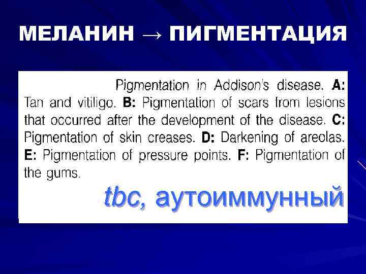 МЕЛАНИН → ПИГМЕНТАЦИЯ tbc, аутоиммунный 