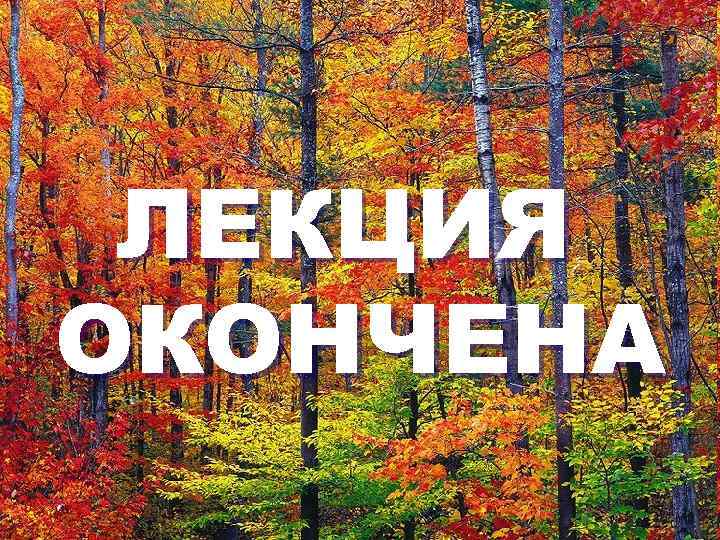 ЛЕКЦИЯ ОКОНЧЕНА 