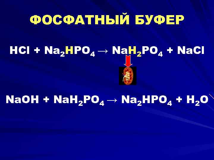 ФОСФАТНЫЙ БУФЕР HCl + Na 2 HPO 4 → Na. H 2 PO 4