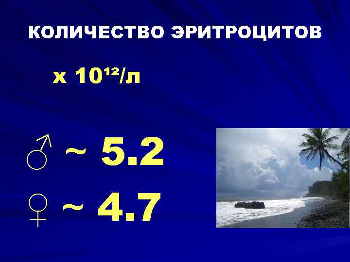 КОЛИЧЕСТВО ЭРИТРОЦИТОВ х 10¹²/л ♂ ~ 5. 2 ♀ ~ 4. 7 