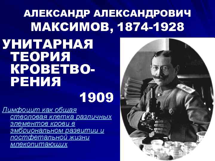 АЛЕКСАНДРОВИЧ МАКСИМОВ, 1874 -1928 УНИТАРНАЯ ТЕОРИЯ КРОВЕТВОРЕНИЯ 1909 Лимфоцит как общая стволовая клетка различных