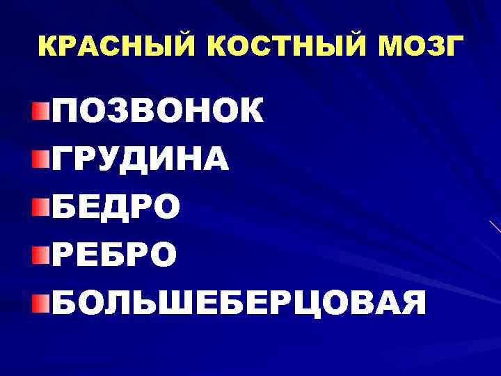 КРАСНЫЙ КОСТНЫЙ МОЗГ ПОЗВОНОК ГРУДИНА БЕДРО РЕБРО БОЛЬШЕБЕРЦОВАЯ 