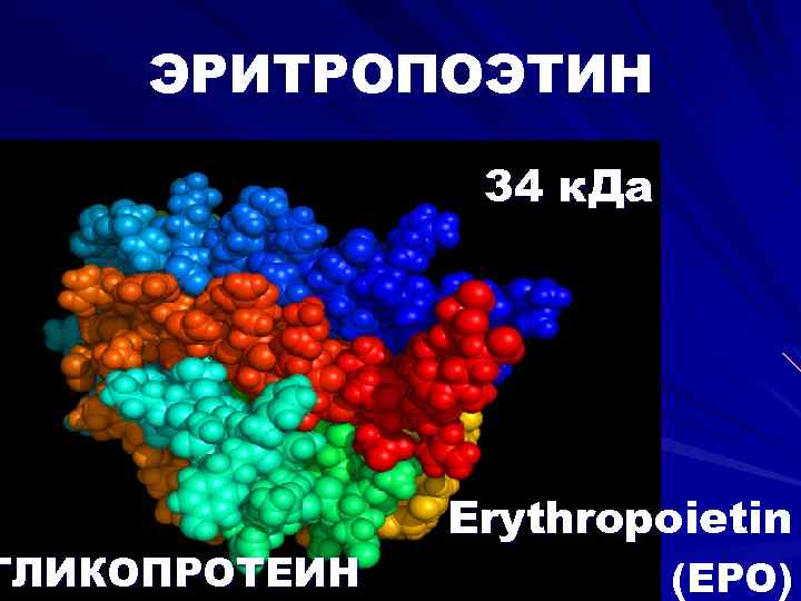 ЭРИТРОПОЭТИН ГЛИКОПРОТЕИН 34 к. Да Erythropoietin (EPO) 