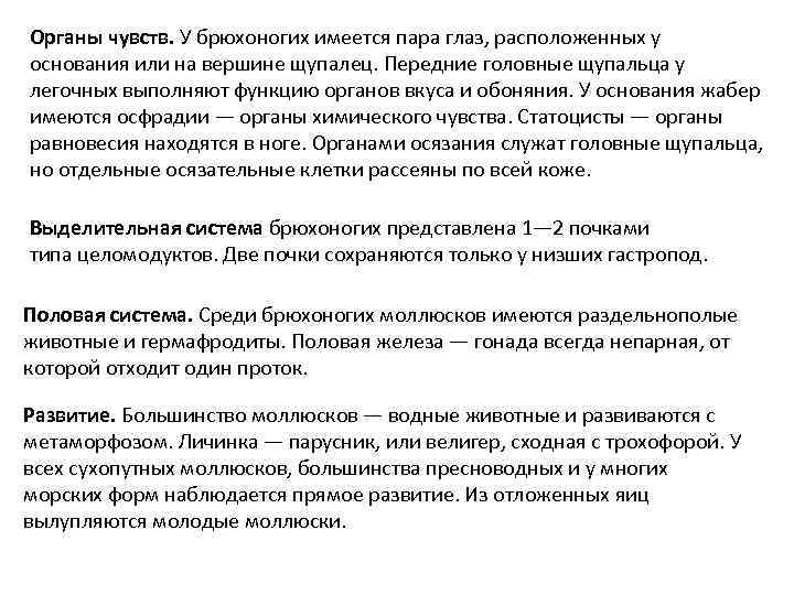 Органы чувств. У брюхоногих имеется пара глаз, расположенных у основания или на вершине щупалец.