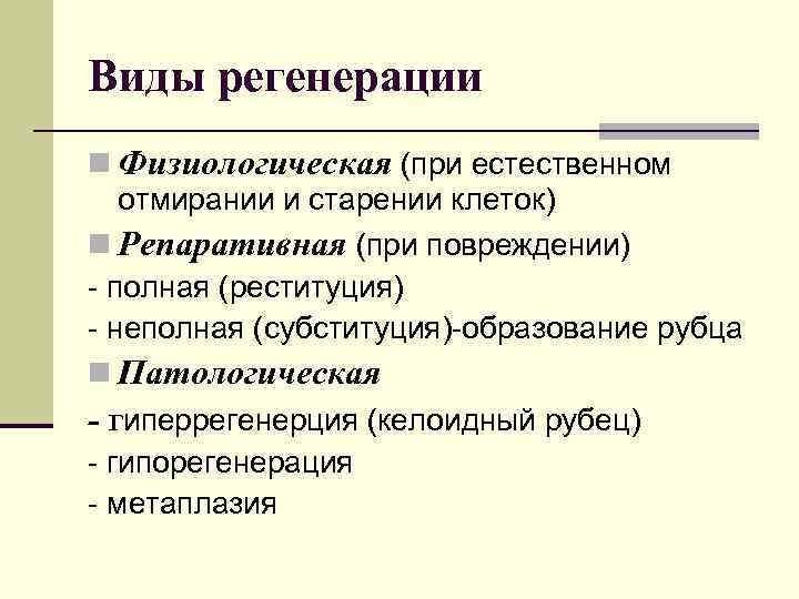 Виды регенерации n Физиологическая (при естественном отмирании и старении клеток) n Репаративная (при повреждении)