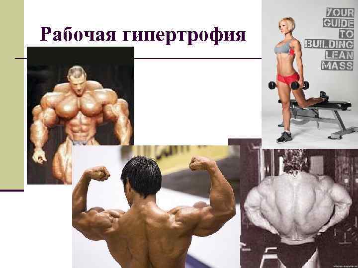 Рабочая гипертрофия 