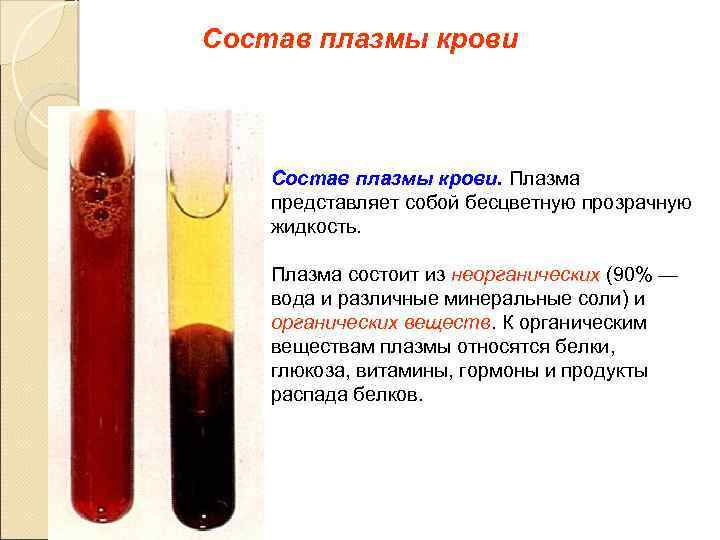 Состав плазмы крови. Плазма представляет собой бесцветную прозрачную жидкость. Плазма состоит из неорганических (90%