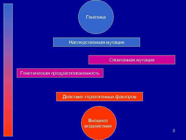 Генетика Наследственная мутация Спонтанная мутация Генетическая предрасположенность Действие тератогенных факторов Внешнее воздействие 3 