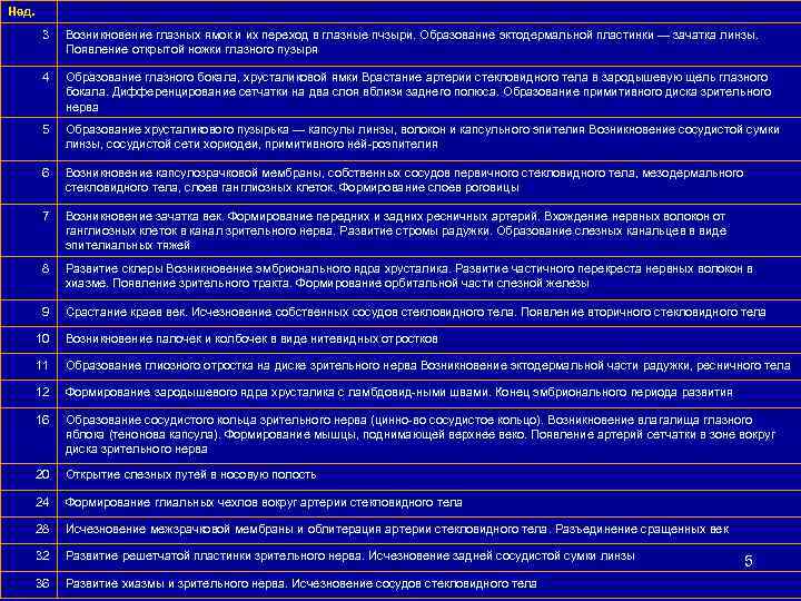 Нед. 3 Возникновение глазных ямок и их переход в глазные пчзыри. Образование эктодермальной пластинки
