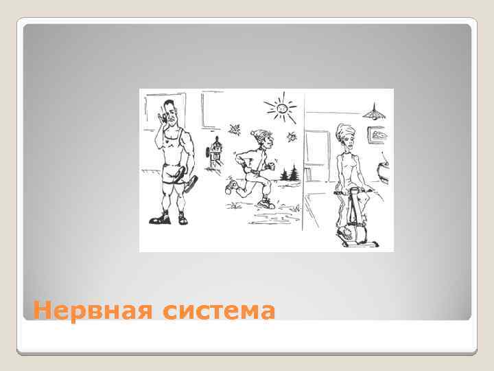 Нервная система 