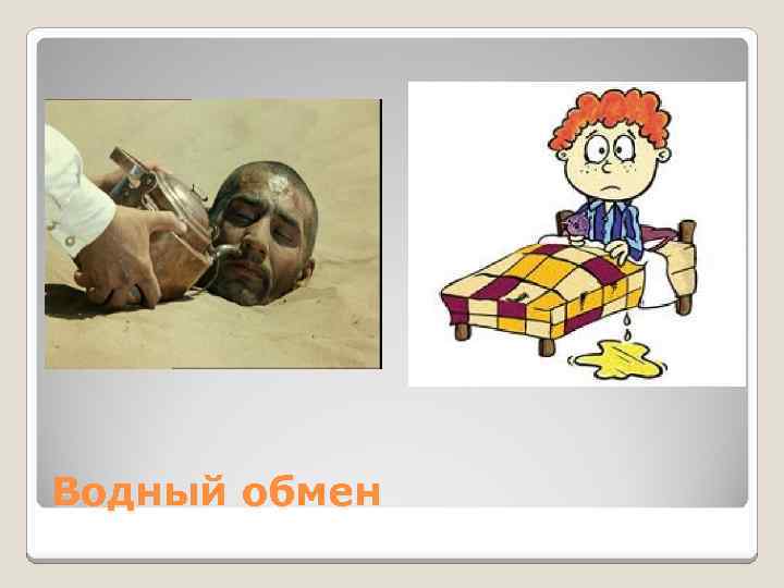 Водный обмен 