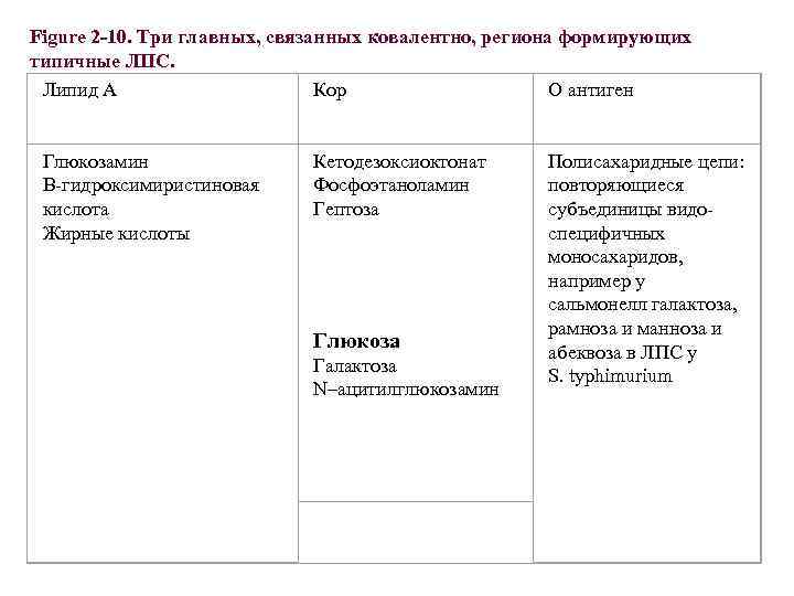 Figure 2 -10. Три главных, связанных ковалентно, региона формирующих типичные ЛПС. Липид А Кор