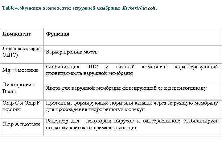 Table 4. Функция компонентов наружной мембраны Escherichia coli. Компонент Липополисахарид (ЛПС) Функция Барьер проницамости