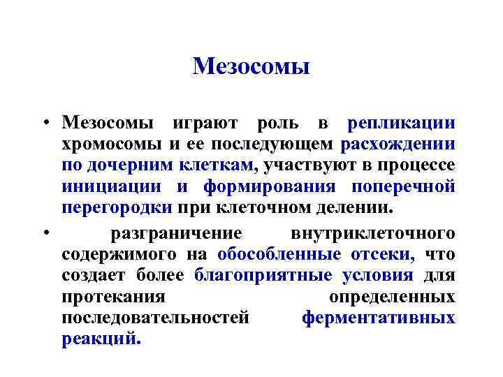 Мезосомы • Мезосомы играют роль в репликации хромосомы и ее последующем расхождении по дочерним