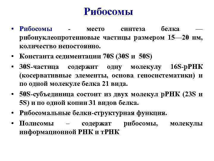 Рибосомы • Рибосомы - место синтеза белка — рибонуклеопротеиновые частицы размером 15— 20 нм,