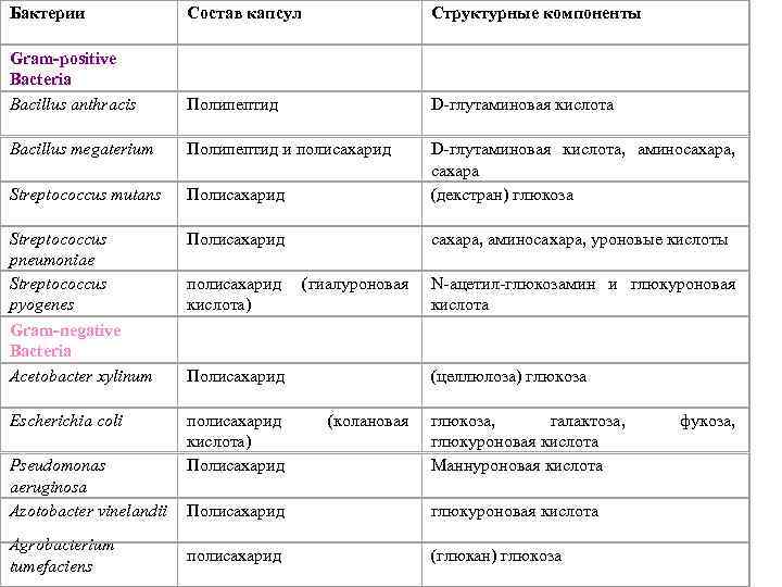 Бактерии Состав капсул Структурные компоненты Gram-positive Bacteria Bacillus anthracis Полипептид D-глутаминовая кислота Bacillus megaterium