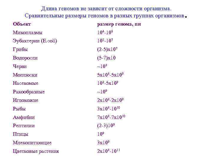 Длина геномов не зависит от сложности организма. Сравнительные размеры геномов в разных группах организмов