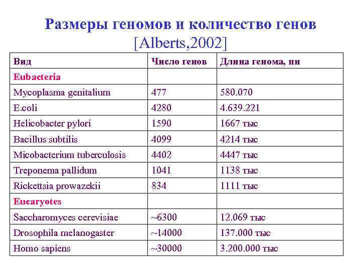 Размеры геномов и количество генов [Alberts, 2002] Вид Число генов Длина генома, пн Eubacteria