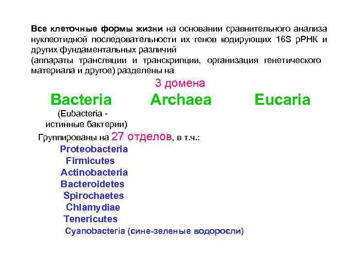 Все клеточные формы жизни на основании сравнительного анализа нуклеотидной последовательности их генов кодирующих 16