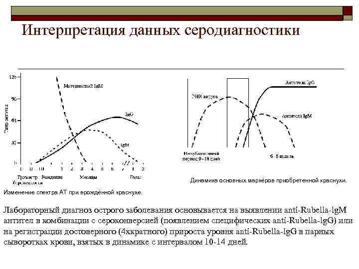 Интерпретация данных серодиагностики Динамика основных маркёров приобретенной краснухи. Изменение спектра АТ при врождённой краснухе.