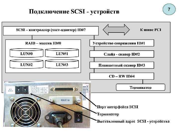 7 Порт интерфейса SCSI Терминатор Выставленный адрес SCSI - устройства 