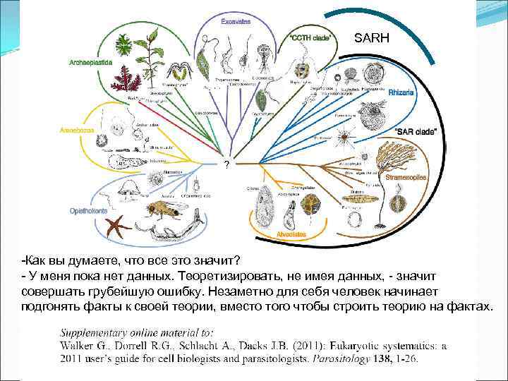 SARH -Как вы думаете, что все это значит? - У меня пока нет данных.